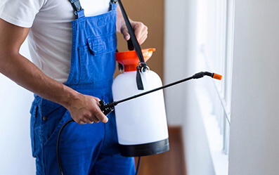 cleaning services kochi