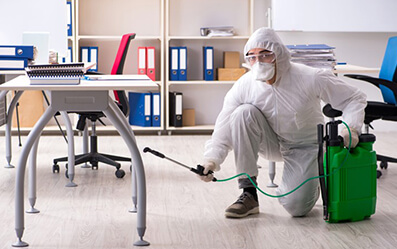 sofa cleaning service kochi