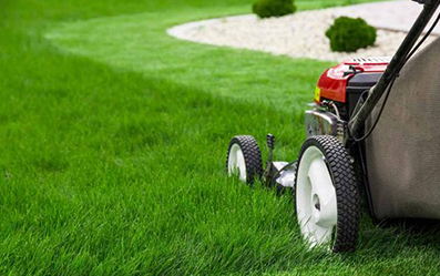 steam cleaning services kochi
